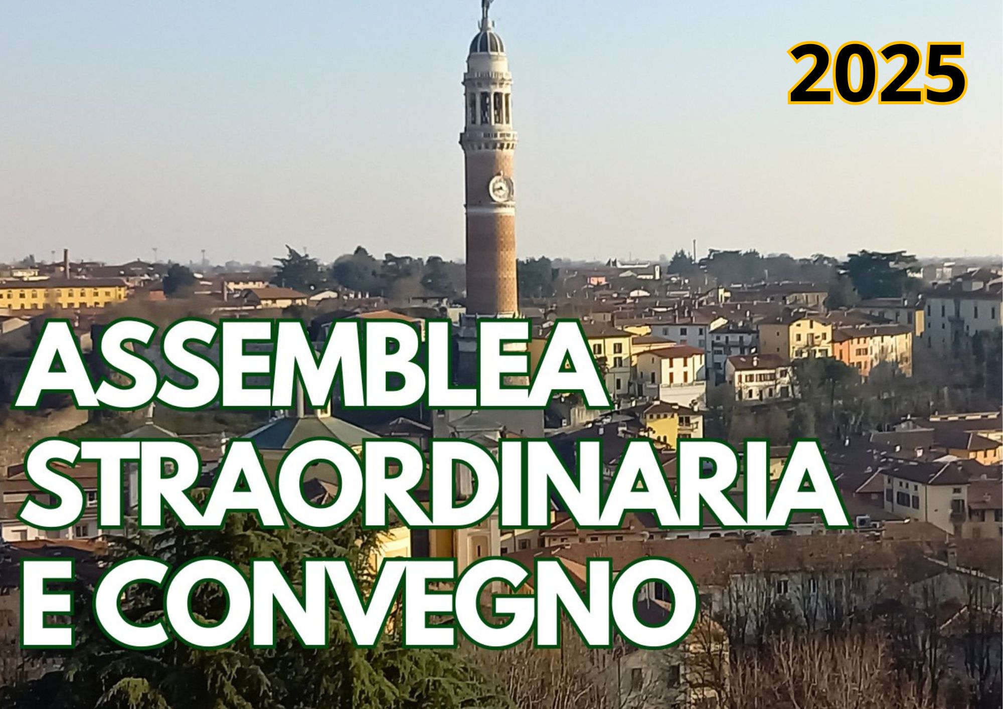 Convocazione assemblea straordinaria e convegno